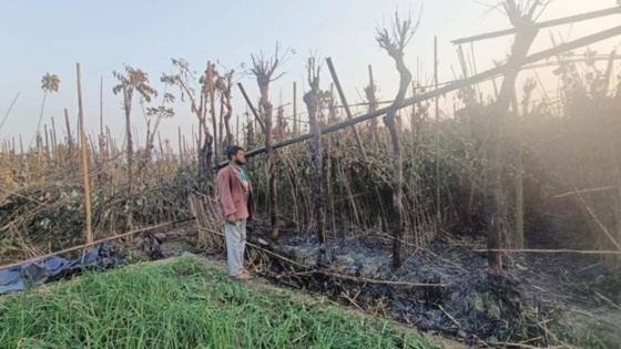 ফায়ার সার্ভিসকে দেওয়া হলো আগুনের ভুল তথ্য, অতঃপর...